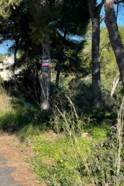 Land - Venta - Jávea - Xàbia - Jávea - Xàbia Centro