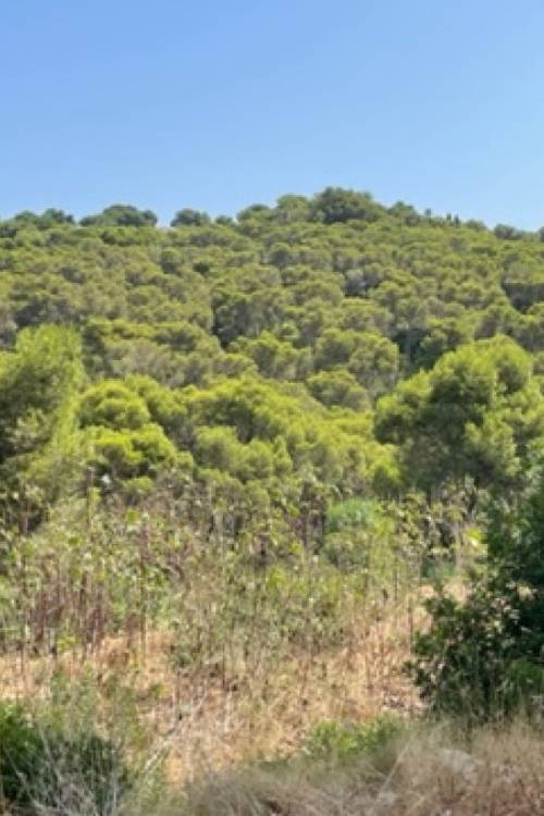 Land - Venta - Jávea - Xàbia - Jávea - Xàbia Centro