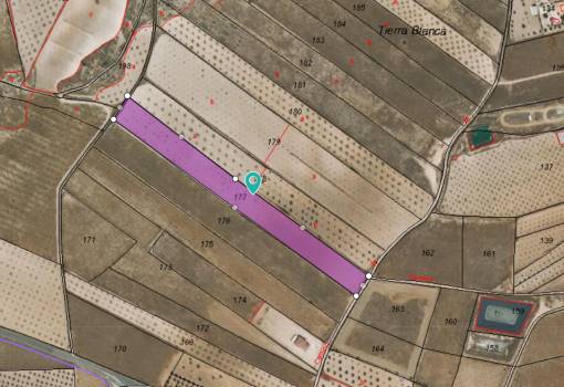 Land - Venta - Jumilla - Jumilla Centro