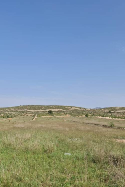 Land - Venta - Jumilla - Jumilla Centro