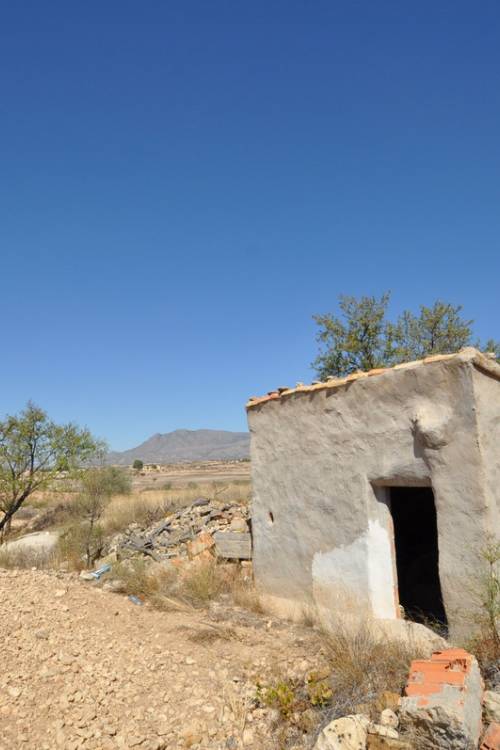 Land - Venta - Jumilla - Torre Del Rico