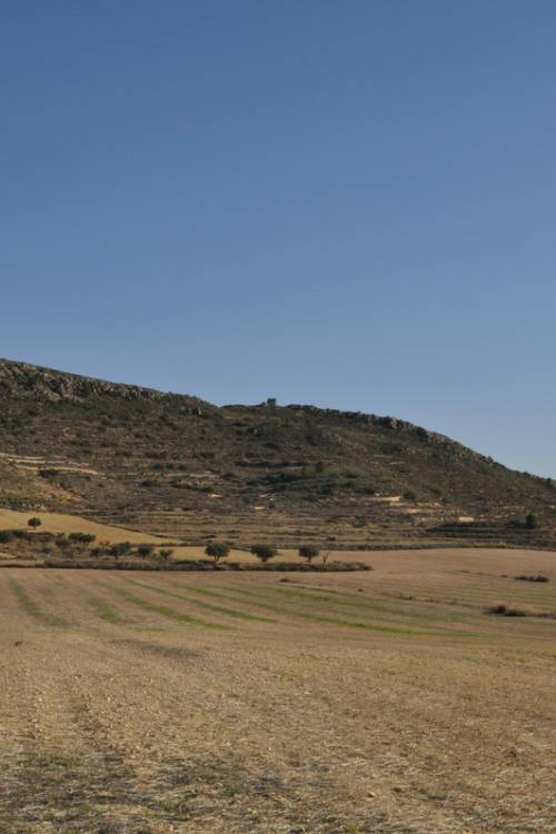 Land - Venta - Jumilla - Torre Del Rico