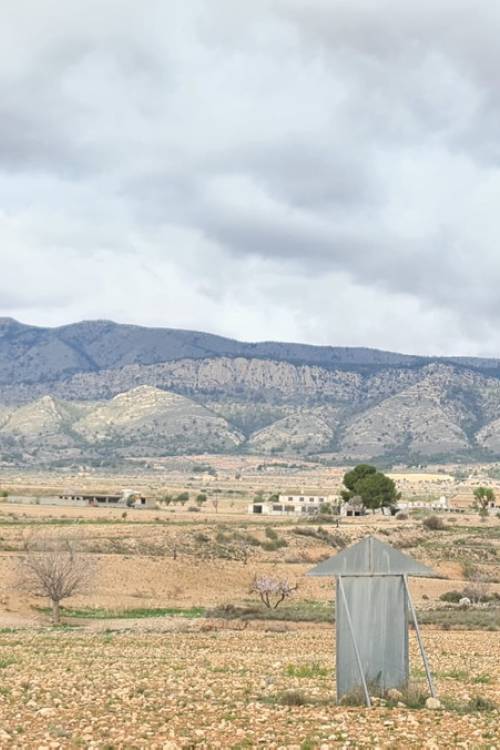 Land - Venta - Jumilla - Torre Del Rico