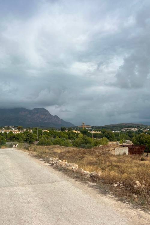 Land - Venta - L'Alfás del Pi - L'Alfás del Pi Centro