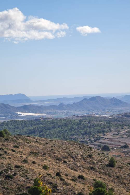 Land - Venta - La Romana - La Romana Centro