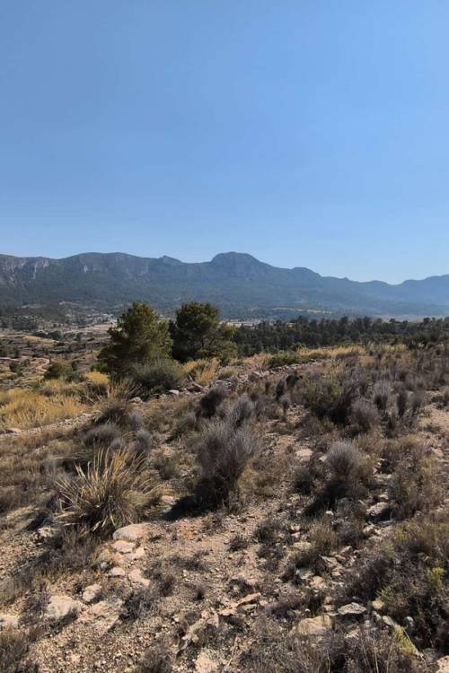 Land - Venta - La Romana - La Romana Centro