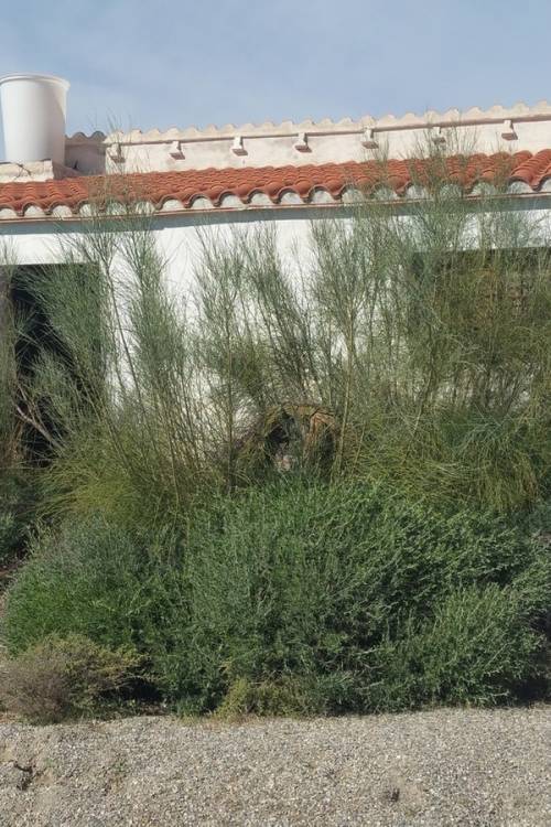 Land - Venta - Lorca - Lorca Centro