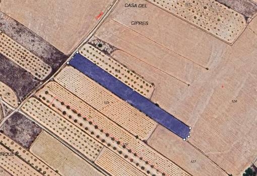 Land - Venta - Monóvar - Monòver - Casas del Señor