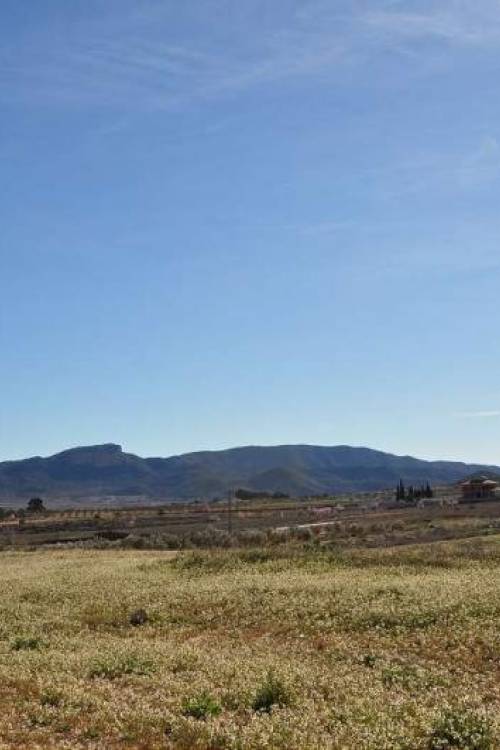 Land - Venta - Monóvar - Monòver - Chinorlet