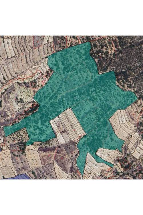 Land - Venta - Monóvar - Monòver - Monóvar - Monòver Centro