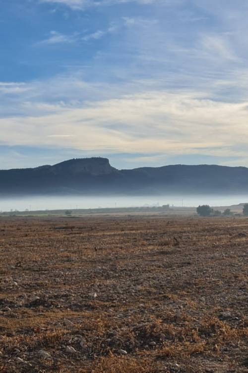 Land - Venta - Monóvar - Monòver - Monóvar - Monòver Centro