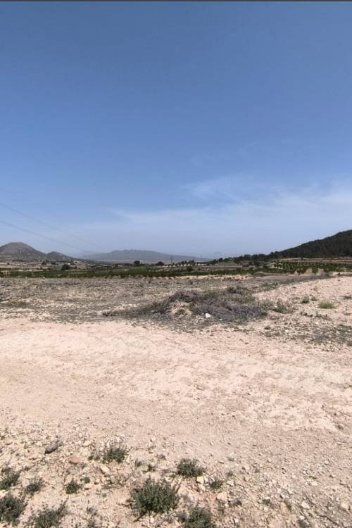 Land - Venta - Monóvar - Monòver - Monóvar - Monòver Centro