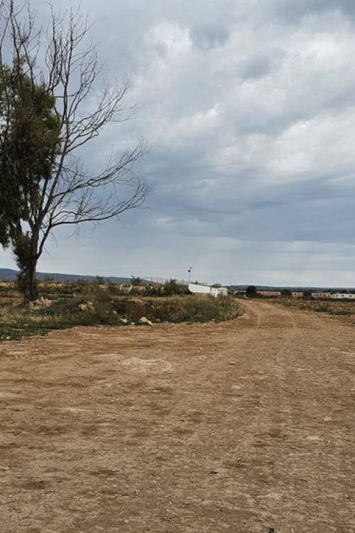 Land - Venta - Murcia - Sucina