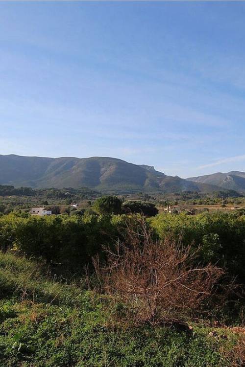 Land - Venta - Murla - Murla