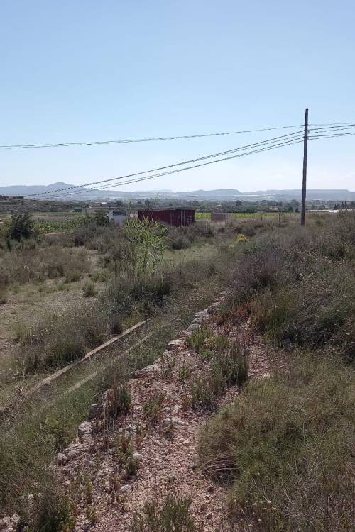 Land - Venta - Novelda - Novelda Centro