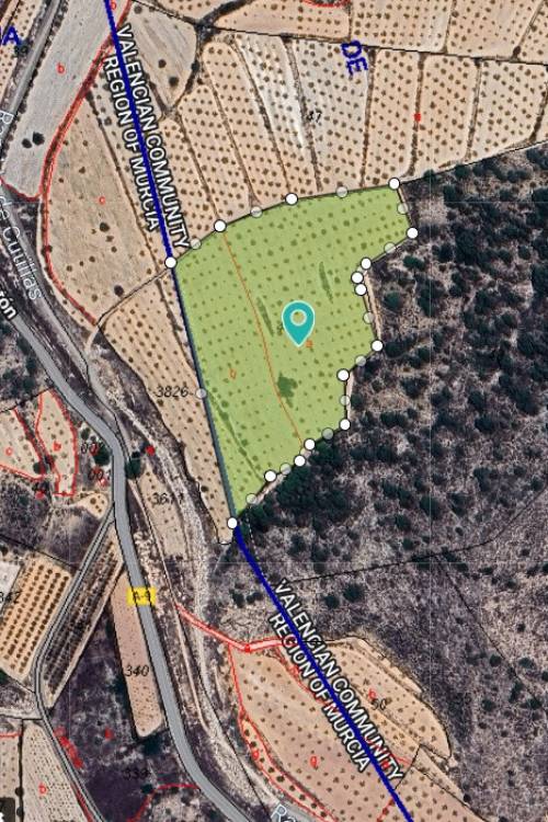 Land - Venta - Orihuela - Orihuela Centro