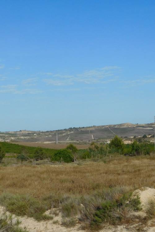 Land - Venta - Orihuela - Torremendo