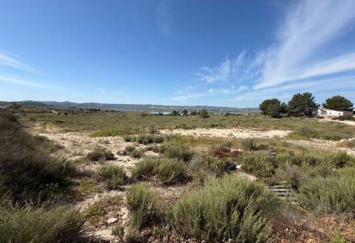Land - Venta - Orihuela - Torremendo