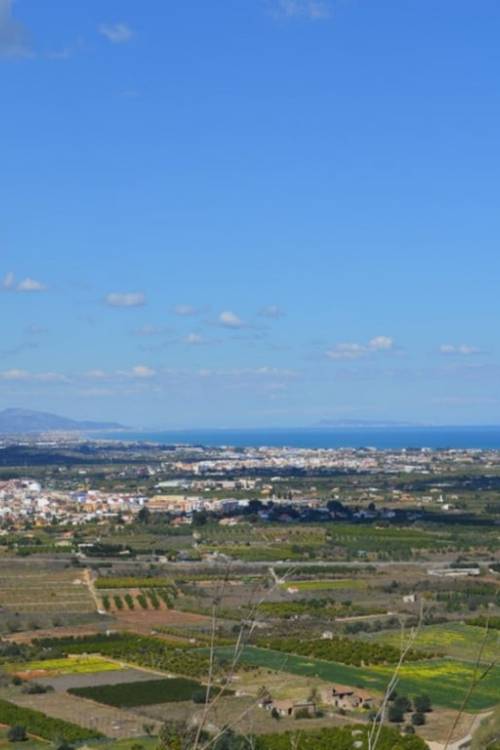 Land - Venta - Pedreguer - Pedreguer Centro