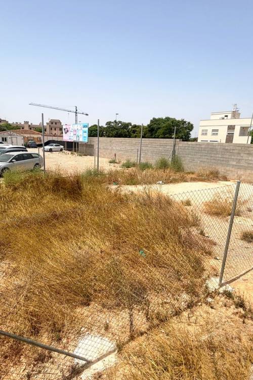 Land - Venta - Pilar de la Horadada - Pilar de la Horadada Centro