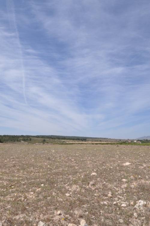 Land - Venta - Pinoso - Pinoso Centro