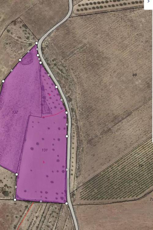 Land - Venta - Pinoso - Pinoso Centro