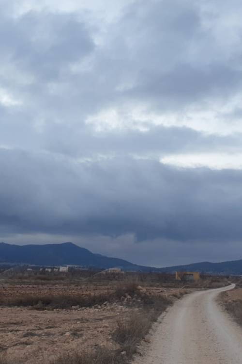 Land - Venta - Pinoso - Pinoso Centro