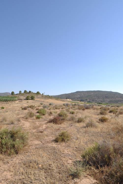 Land - Venta - Pinoso - Pinoso Centro