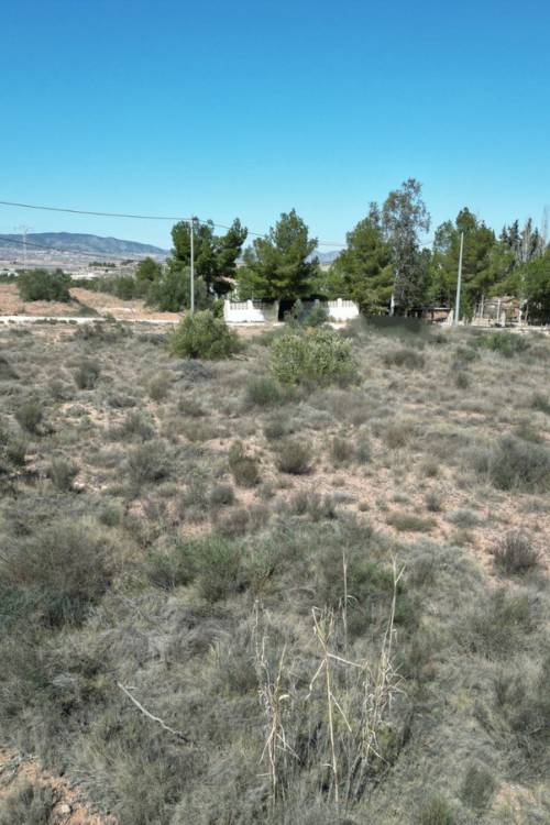 Land - Venta - Pinoso - Pinoso Centro