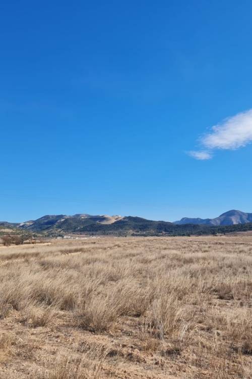 Land - Venta - Pinoso - Pinoso Centro