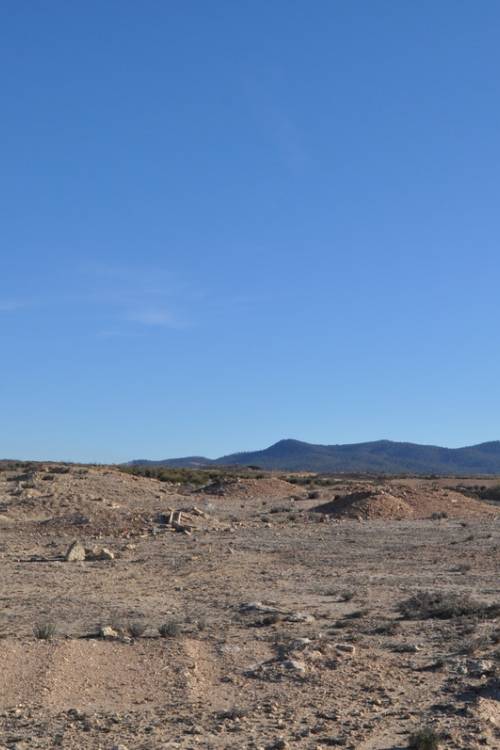 Land - Venta - Pinoso - Pinoso Centro