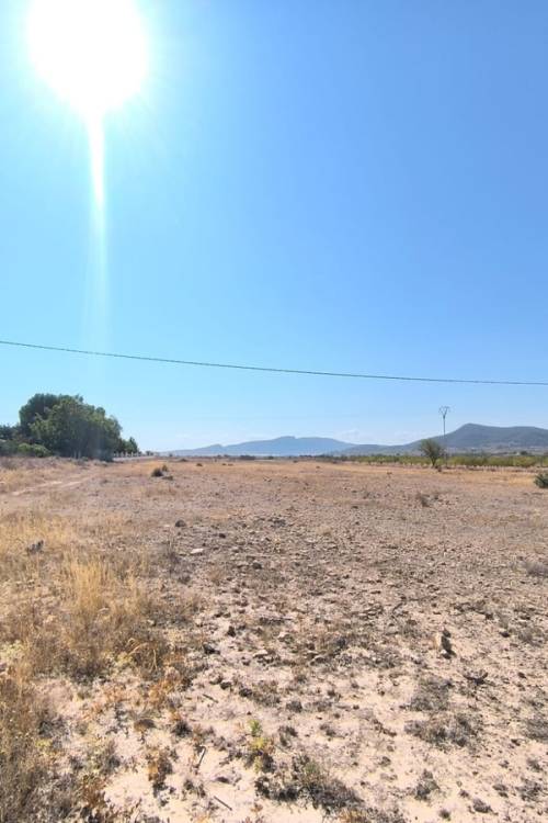 Land - Venta - Pinoso - Pinoso Centro