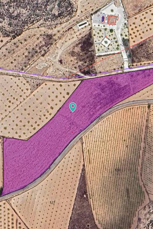 Land - Venta - Pinoso - Pinoso Centro