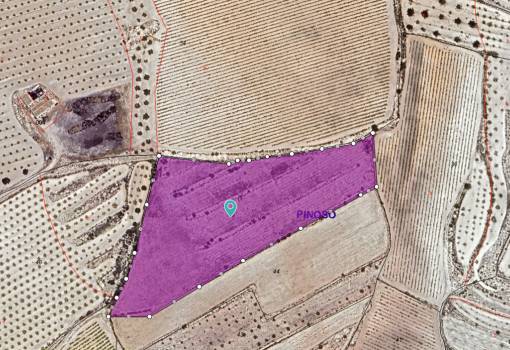 Land - Venta - Pinoso - Pinoso Centro