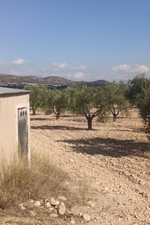 Land - Venta - Salinas - Salinas Centro