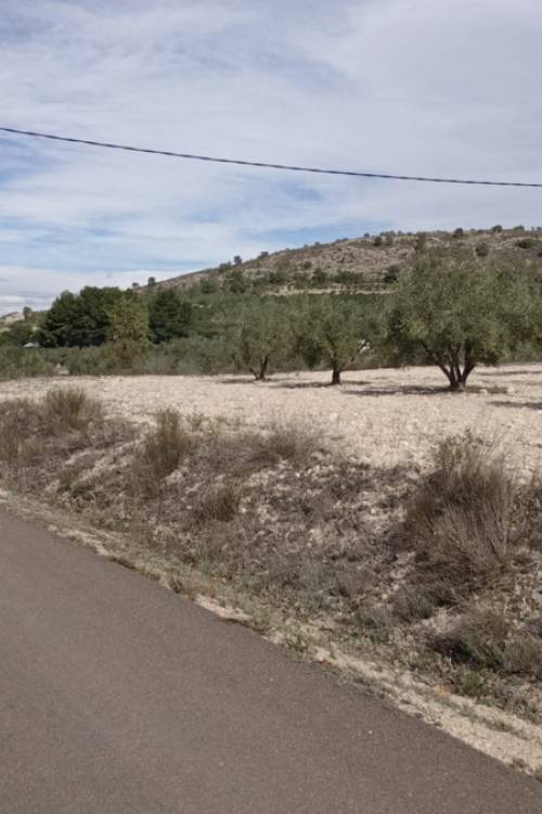 Land - Venta - Salinas - Salinas Centro