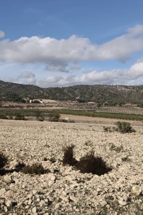 Land - Venta - Salinas - Salinas Centro