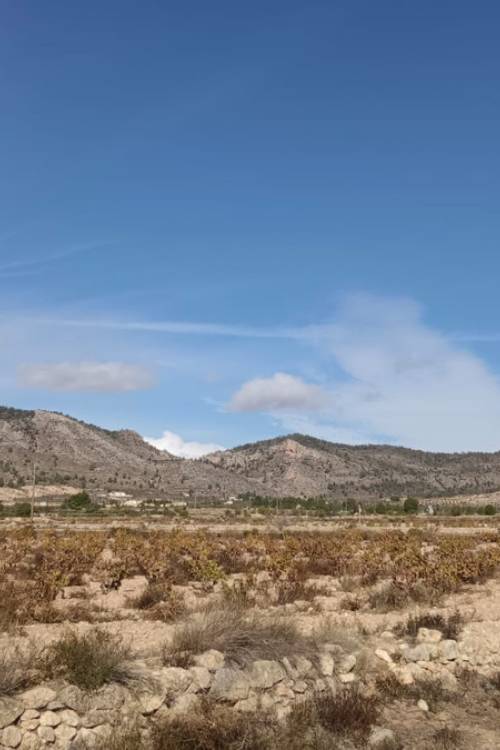 Land - Venta - Salinas - Salinas Centro