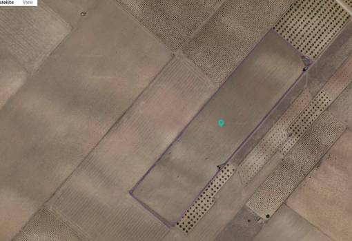 Land - Venta - Yecla - Yecla Centro