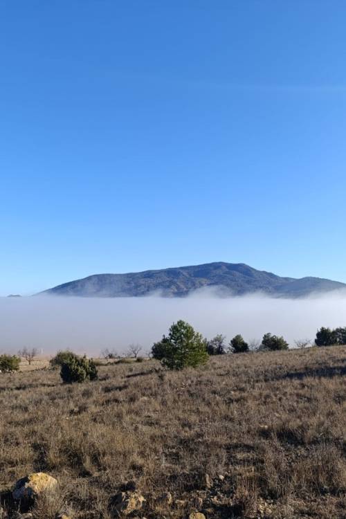 Land - Venta - Yecla - Yecla Centro