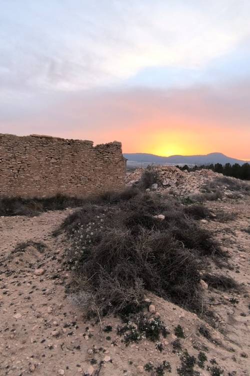 Land - Venta - Yecla - Yecla Centro