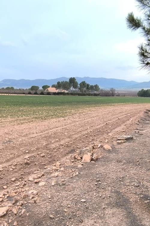 Land - Venta - Yecla - Yecla Centro