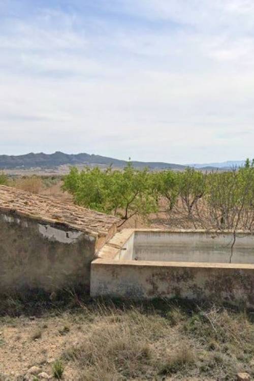 Land - Venta - Yecla - Yecla Centro