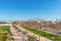 New Build - Apartment/Bungalow - Pilar de la Horadada