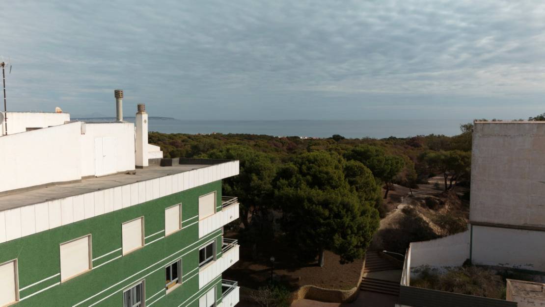 New Build - Apartment - Guardamar del Segura - Guardamar del Segura Centro