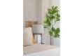 New Build - Apartment - Guardamar del Segura - Guardamar del Segura Centro