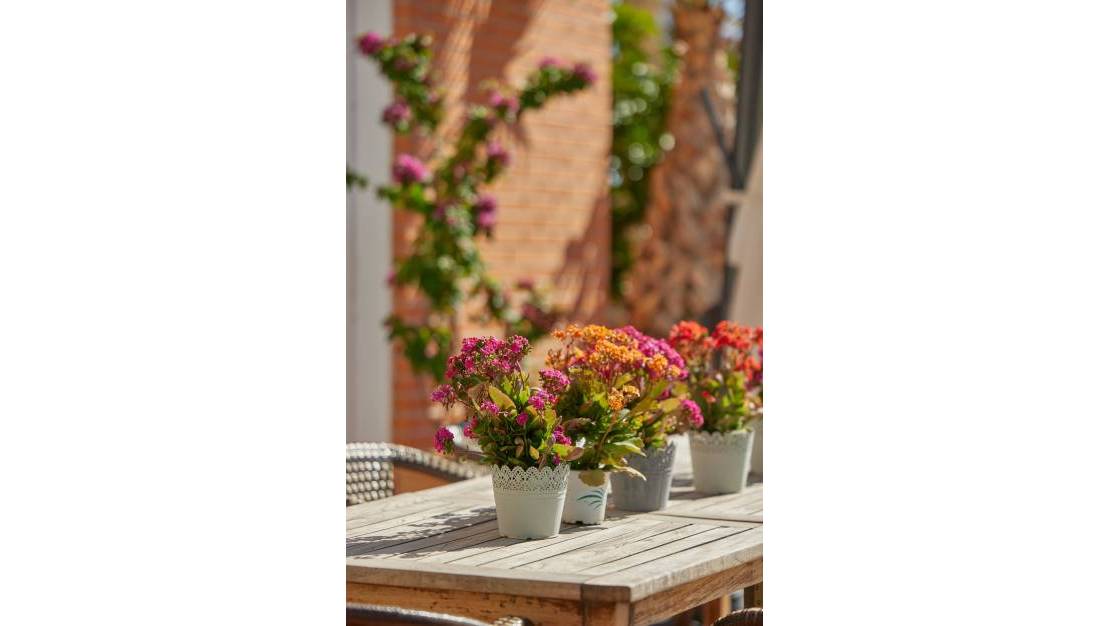 New Build - Apartment - L'Alfás del Pi - L'Alfás del Pi Centro