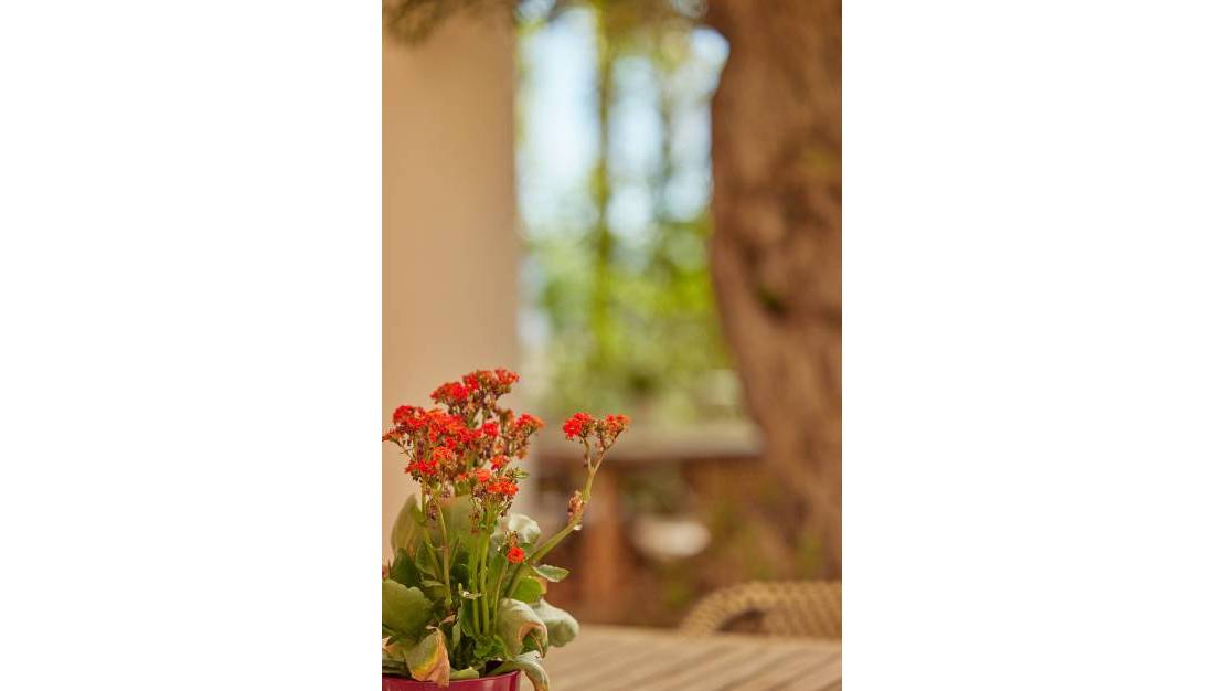 New Build - Apartment - L'Alfás del Pi - L'Alfás del Pi Centro