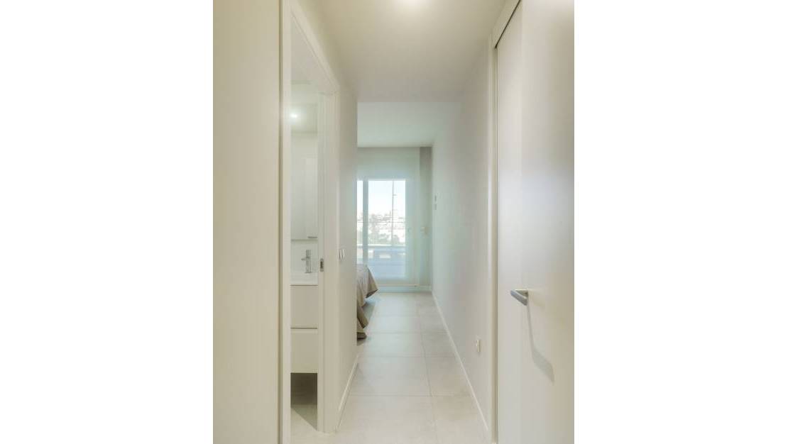 New Build - Apartment - Orihuela - Mil Palmeras