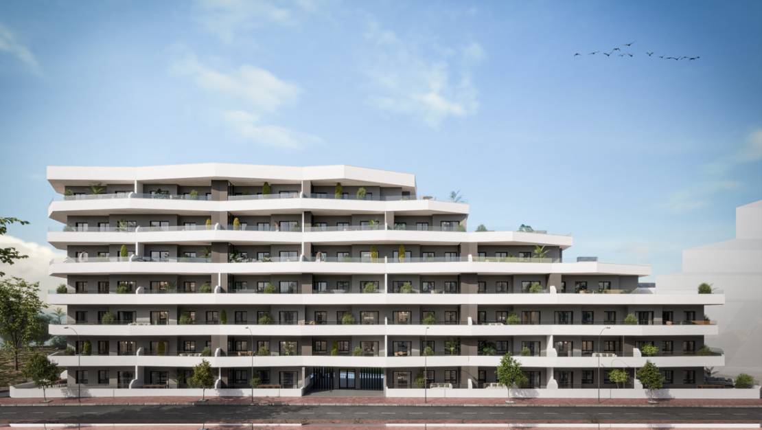 New Build - Apartment - San Miguel de Salinas - San Miguel de Salinas Centro